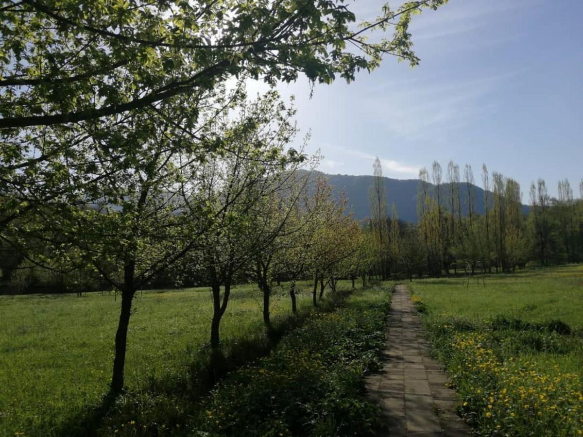 Grand Village Ismayilli Eksteriør billede